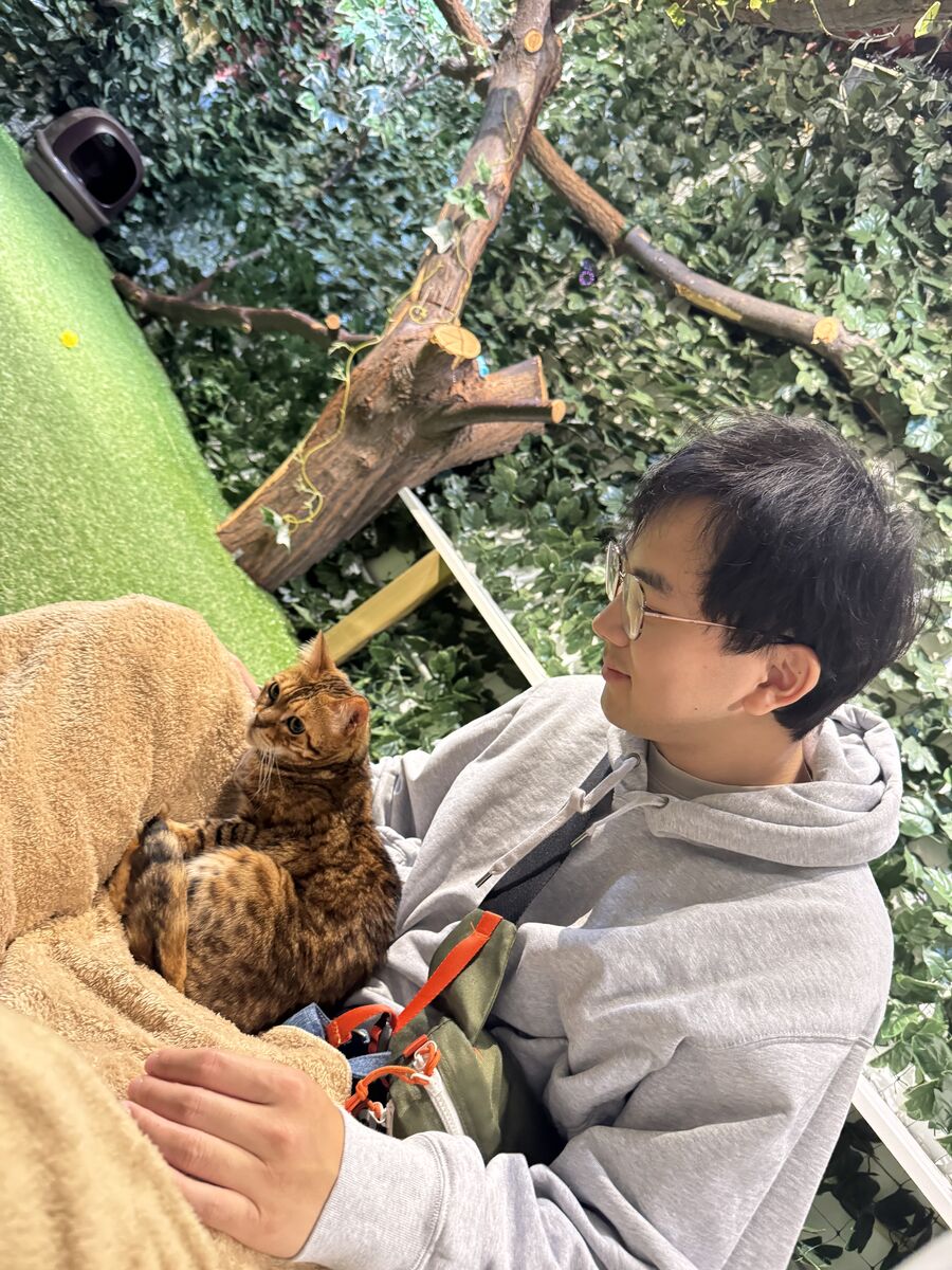 Sitting with a cat at a cat café